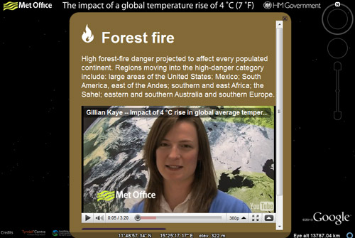 Forest fires
