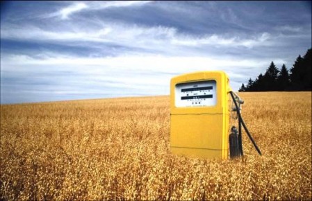 petrol pump in wheatfield