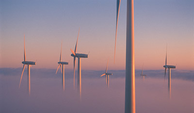 An offshore wind farm