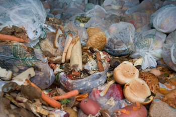 Food waste - image courtesy of WRAP