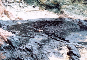 Polluting our seas