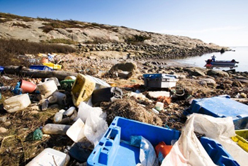 Polluting our seas